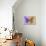 Miss Butterfly Genutia Profil - Purple & Honey-Philippe Hugonnard-Photographic Print displayed on a wall