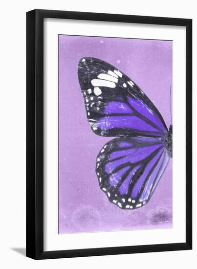 Miss Butterfly Genutia Profil - Purple-Philippe Hugonnard-Framed Photographic Print