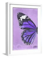 Miss Butterfly Genutia Profil - Purple-Philippe Hugonnard-Framed Photographic Print