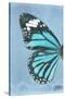 Miss Butterfly Genutia Profil - Turquoise-Philippe Hugonnard-Stretched Canvas