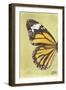 Miss Butterfly Genutia Profil - Yellow-Philippe Hugonnard-Framed Photographic Print