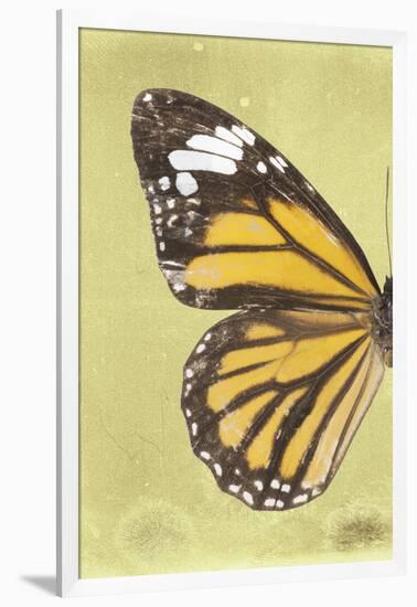 Miss Butterfly Genutia Profil - Yellow-Philippe Hugonnard-Framed Photographic Print