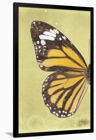 Miss Butterfly Genutia Profil - Yellow-Philippe Hugonnard-Framed Photographic Print