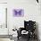 Miss Butterfly Genutia - Purple-Philippe Hugonnard-Photographic Print displayed on a wall