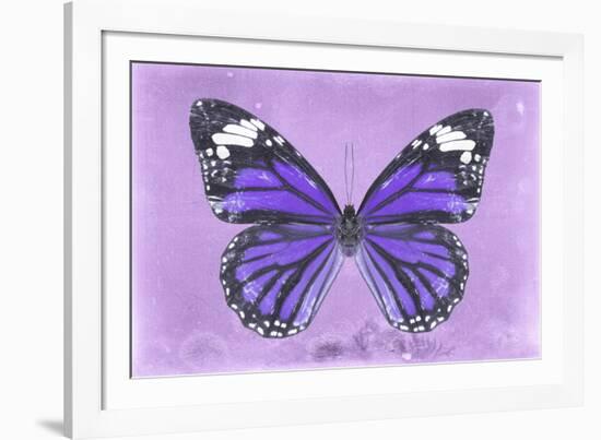 Miss Butterfly Genutia - Purple-Philippe Hugonnard-Framed Photographic Print