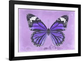 Miss Butterfly Genutia - Purple-Philippe Hugonnard-Framed Photographic Print