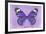 Miss Butterfly Genutia - Purple-Philippe Hugonnard-Framed Photographic Print