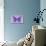 Miss Butterfly Genutia - Purple-Philippe Hugonnard-Stretched Canvas displayed on a wall