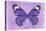 Miss Butterfly Genutia - Purple-Philippe Hugonnard-Stretched Canvas
