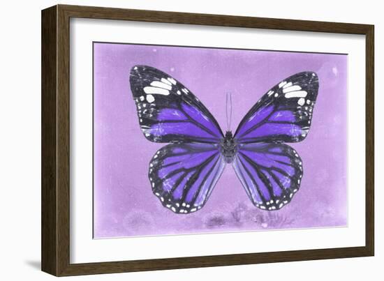 Miss Butterfly Genutia - Purple-Philippe Hugonnard-Framed Photographic Print