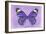 Miss Butterfly Genutia - Purple-Philippe Hugonnard-Framed Photographic Print