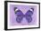 Miss Butterfly Genutia - Purple-Philippe Hugonnard-Framed Photographic Print