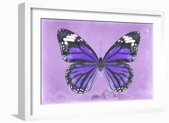 Miss Butterfly Genutia - Purple-Philippe Hugonnard-Framed Photographic Print