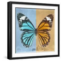 Miss Butterfly Genutia Sq - Blue & Honey-Philippe Hugonnard-Framed Photographic Print