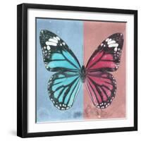 Miss Butterfly Genutia Sq - Blue & Hot Pink-Philippe Hugonnard-Framed Photographic Print