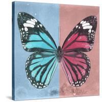 Miss Butterfly Genutia Sq - Blue & Hot Pink-Philippe Hugonnard-Stretched Canvas