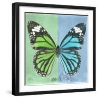 Miss Butterfly Genutia Sq - Green & Blue-Philippe Hugonnard-Framed Premium Photographic Print