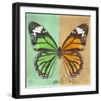 Miss Butterfly Genutia Sq - Green & Honey-Philippe Hugonnard-Framed Photographic Print