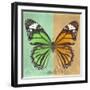 Miss Butterfly Genutia Sq - Green & Honey-Philippe Hugonnard-Framed Photographic Print