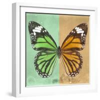 Miss Butterfly Genutia Sq - Green & Honey-Philippe Hugonnard-Framed Photographic Print