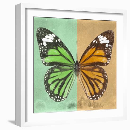 Miss Butterfly Genutia Sq - Green & Honey-Philippe Hugonnard-Framed Photographic Print