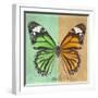 Miss Butterfly Genutia Sq - Green & Honey-Philippe Hugonnard-Framed Photographic Print