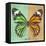 Miss Butterfly Genutia Sq - Green & Honey-Philippe Hugonnard-Framed Stretched Canvas