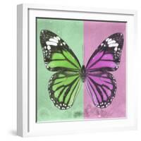 Miss Butterfly Genutia Sq - Green & Pink-Philippe Hugonnard-Framed Photographic Print