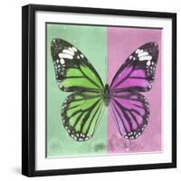 Miss Butterfly Genutia Sq - Green & Pink-Philippe Hugonnard-Framed Premium Photographic Print