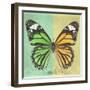 Miss Butterfly Genutia Sq - Green & Yellow-Philippe Hugonnard-Framed Photographic Print