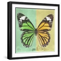 Miss Butterfly Genutia Sq - Green & Yellow-Philippe Hugonnard-Framed Photographic Print