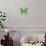 Miss Butterfly Genutia Sq - Green-Philippe Hugonnard-Photographic Print displayed on a wall