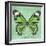 Miss Butterfly Genutia Sq - Green-Philippe Hugonnard-Framed Photographic Print