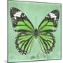 Miss Butterfly Genutia Sq - Green-Philippe Hugonnard-Mounted Photographic Print