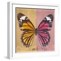 Miss Butterfly Genutia Sq - Honey & Hot Pink-Philippe Hugonnard-Framed Photographic Print