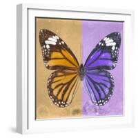 Miss Butterfly Genutia Sq - Honey & Purple-Philippe Hugonnard-Framed Photographic Print