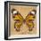 Miss Butterfly Genutia Sq - Honey-Philippe Hugonnard-Framed Premium Photographic Print