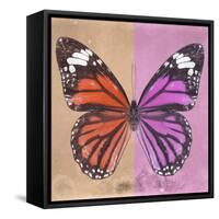 Miss Butterfly Genutia Sq - Orange & Pink-Philippe Hugonnard-Framed Stretched Canvas