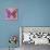 Miss Butterfly Genutia Sq - Pink & Hot Pink-Philippe Hugonnard-Photographic Print displayed on a wall