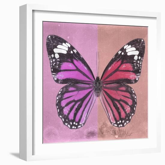 Miss Butterfly Genutia Sq - Pink & Hot Pink-Philippe Hugonnard-Framed Photographic Print