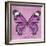 Miss Butterfly Genutia Sq - Pink-Philippe Hugonnard-Framed Photographic Print