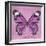 Miss Butterfly Genutia Sq - Pink-Philippe Hugonnard-Framed Photographic Print