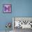 Miss Butterfly Genutia Sq - Purple & Pink-Philippe Hugonnard-Framed Stretched Canvas displayed on a wall