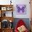 Miss Butterfly Genutia Sq - Purple-Philippe Hugonnard-Photographic Print displayed on a wall