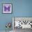 Miss Butterfly Genutia Sq - Purple-Philippe Hugonnard-Framed Photographic Print displayed on a wall