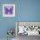 Miss Butterfly Genutia Sq - Purple-Philippe Hugonnard-Framed Photographic Print displayed on a wall