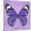 Miss Butterfly Genutia Sq - Purple-Philippe Hugonnard-Mounted Photographic Print