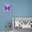 Miss Butterfly Genutia Sq - Purple-Philippe Hugonnard-Stretched Canvas displayed on a wall