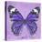 Miss Butterfly Genutia Sq - Purple-Philippe Hugonnard-Stretched Canvas