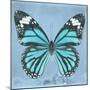 Miss Butterfly Genutia Sq - Turquoise-Philippe Hugonnard-Mounted Photographic Print